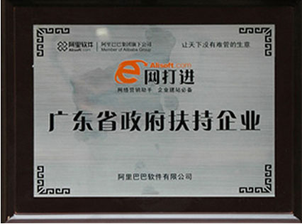 政府扶持企業(yè)